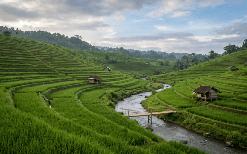 Starting Pineapple Plantation in Indonesia: PT PMA, Land, and Permit Guide