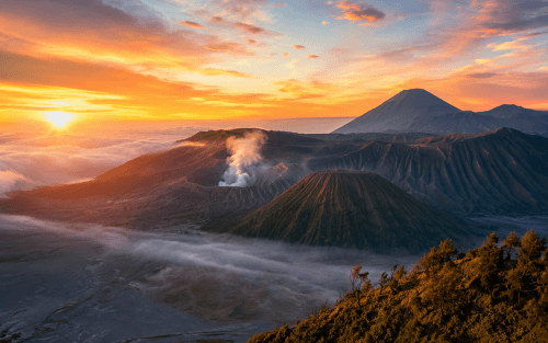 How to Set Up Fish Hatchery Company in Indonesia: Foreign Investor Guide