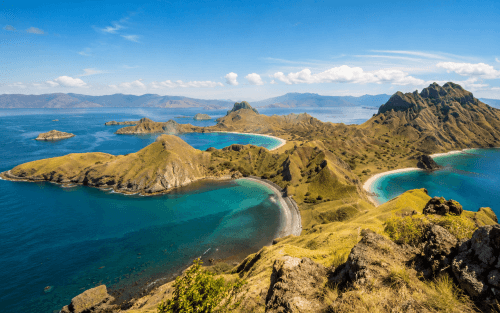 Setting Up Handbag Factory in Indonesia: Ownership, KBLI, and Licences