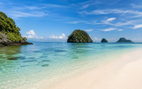 Setting Up Fish Canning Company in Indonesia: Ownership, KBLI, and Licences