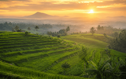 Choosing the Right Business Structure in Singapore