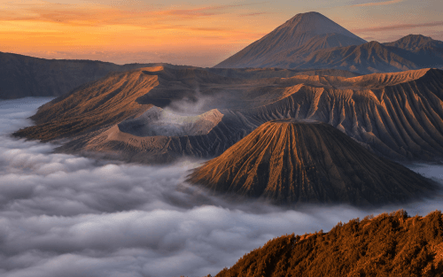 Indonesia Agricultural Contract Farming: Foreign Investment and Licence Requirements
