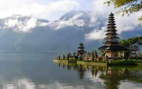 Starting Insect Farming in Indonesia: PT PMA, Land, and Permit Guide