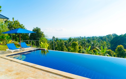Starting Tropical Fruit Farming in Indonesia: PT PMA, Land, and Permit Guide