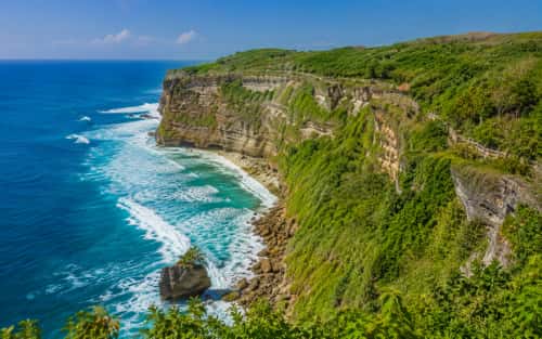 Indonesia Beekeeping Company Setup: Ownership, Land, Licences, and Cost