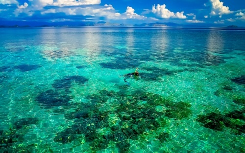 Starting Pearl Farming in Indonesia: PT PMA, Land, and Permit Guide