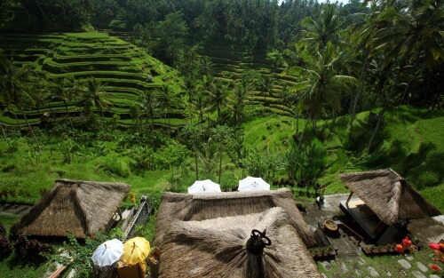 How to Start Shrimp Processing Company in Indonesia: PT PMA, Permits, and Cost