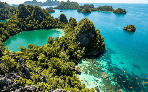 Fisheries Support Services Company Setup in Indonesia: KBLI, Assets, and Compliance
