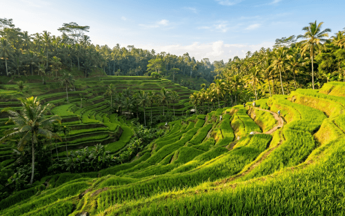 Malaysia Subsidiary vs Representative Office: Which to Choose?