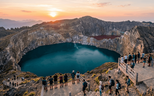 Indonesia Sheep Farming: Foreign Investment and Licence Requirements