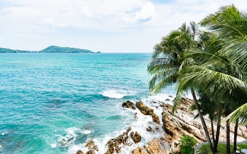 Bank Statement Requirements for Foreign Shareholders in Thailand