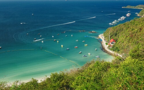 Company Incorporation vs Operating Licences in Thailand
