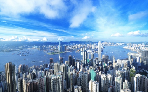Hong Kong Social Enterprise Setup: Choosing a Legal Structure