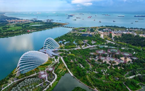 Singapore Telecommunication Dealer Licence: Requirements & Process