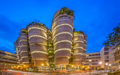 Singapore ROND & RONS: Nominee Filing & Compliance