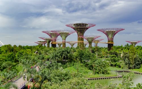 Singapore vs Indonesia Company: Foreign Ownership & Compliance