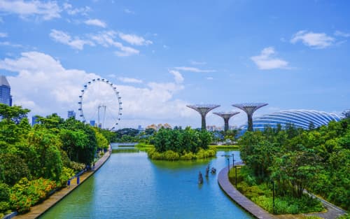 Singapore LP vs LLP vs Pte Ltd: Liability, Control & Use Cases