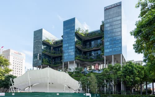 Singapore VCC vs Cayman Fund: Structure & Regulatory Fit