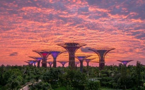 Change a Singapore SSIC Code: Business Activity & Licence Impact