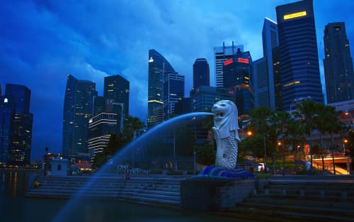 Change a Director of a Singapore Company: Filing & Deadlines