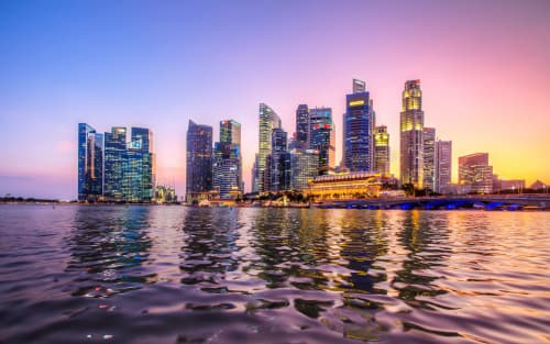 Singapore Nominee Shareholder: RONS, Disclosure & Risks