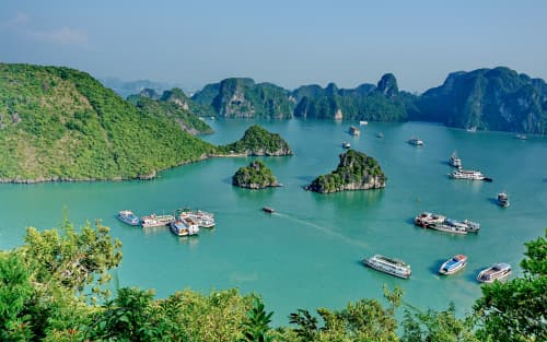 Vietnam Company Setup for Startups: Structure, Capital, and Risk