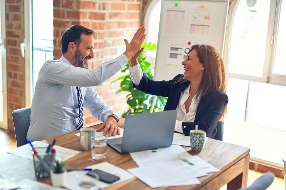 Preparing Australian company director, address and shareholder details
