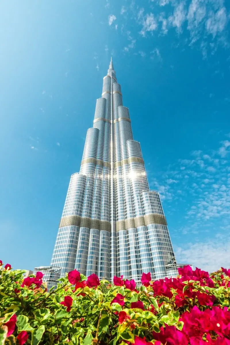 Consultant reviewing a Dubai company setup plan and licence documents