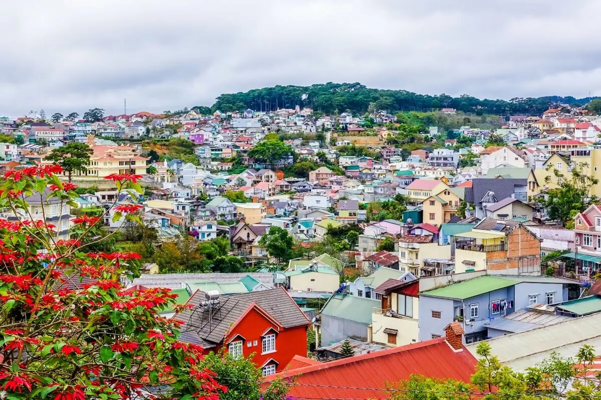 Foreign founders reviewing Vietnam investor visa and work permit requirements after company formation
